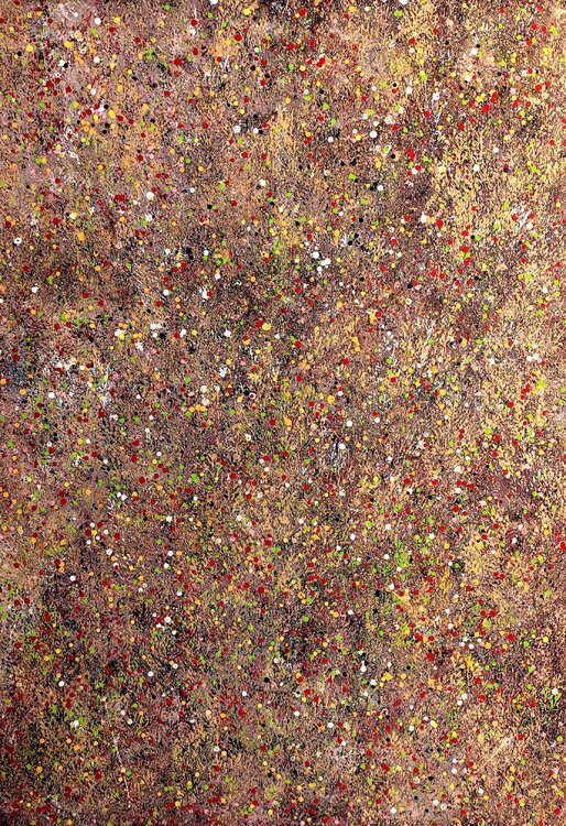 Autumn forest from above Felix Günther