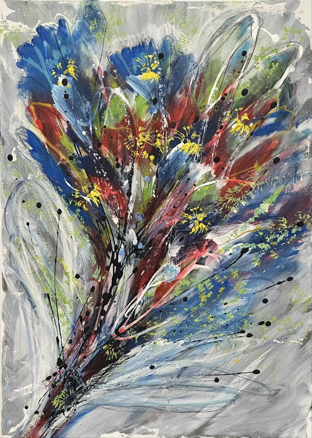 Coloris Hagen Wieland