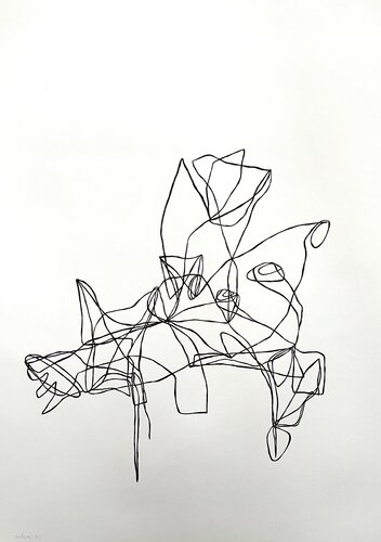 Organismus III-01 di Oliver Euler, Disegno in vendita su Singulart