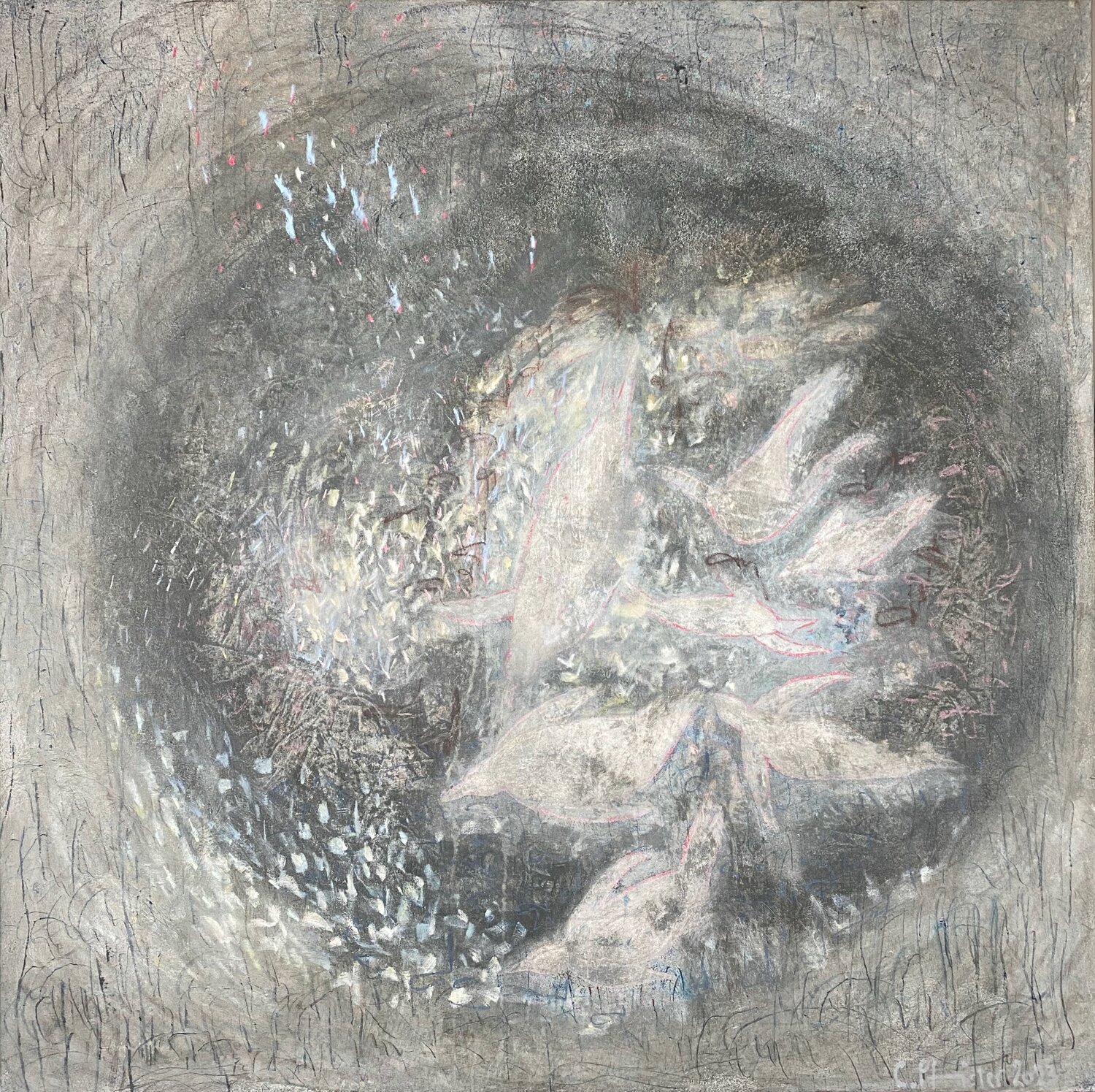 Königspinguin 1 Conny Pfister