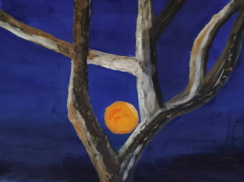 The moon among the branches Miriam Brussato