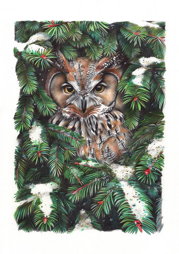 Owl in Spruce Branches van Daria Maier, Tekening te koop op Singulart