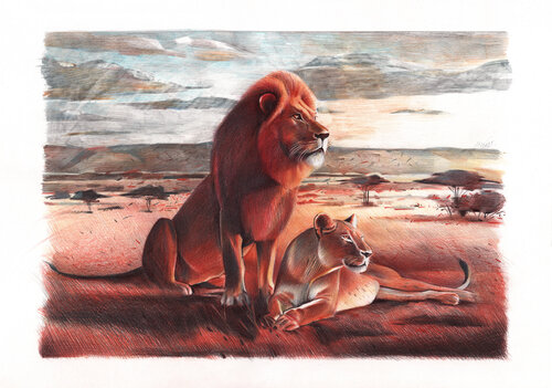 Lions by Daria Maier, 소묘 for Sale on Singulart