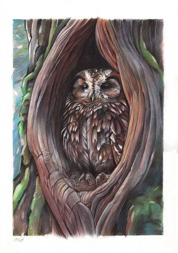 The Hollow Within de Daria Maier, Dibujo a la venta en Singulart