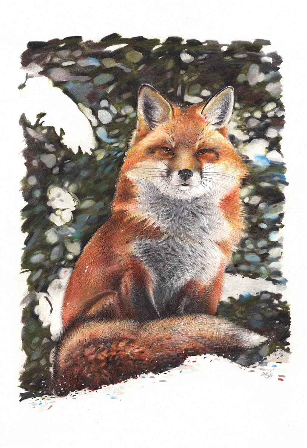 Red Fox Daria Maier