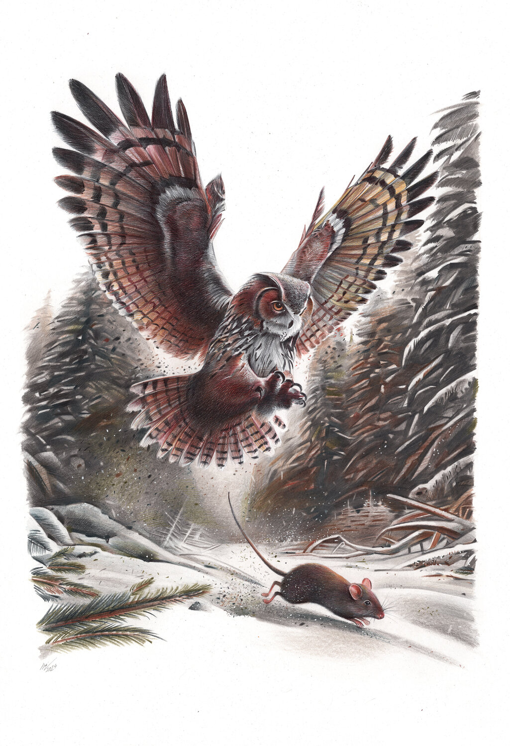 The Owl And The Mouse Daria Maier