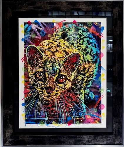 Margay (Réhaussée) by C215, Work on Paper for Sale on Singulart