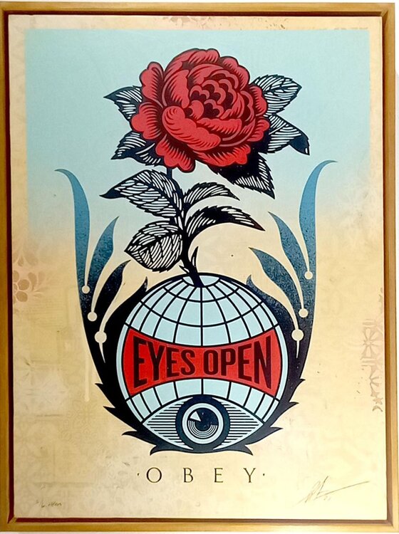 Eyes Open HPM 5/6 Shepard Fairey