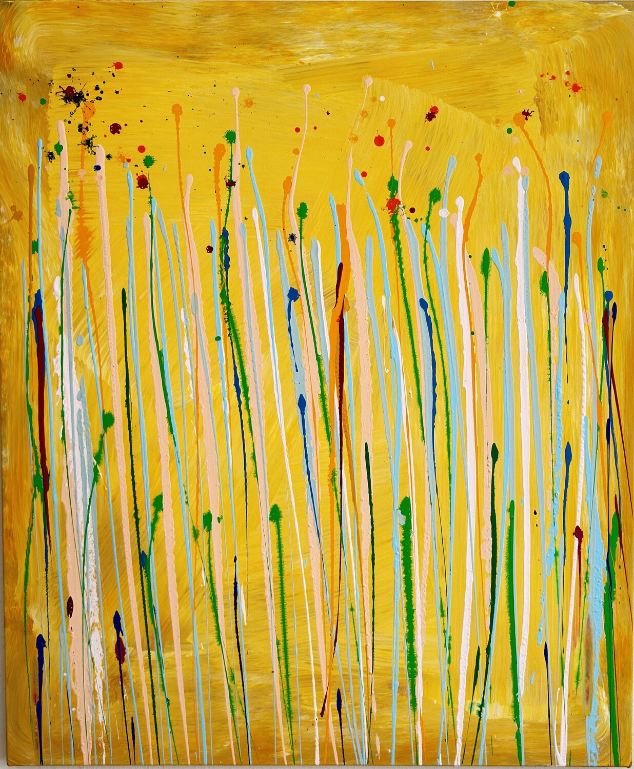 Wald 11 Ilir Osmani