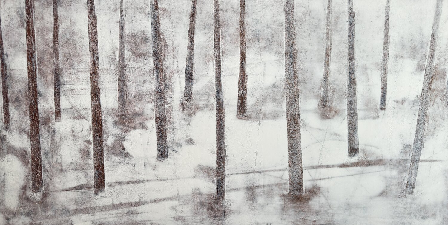 The Silence of the Forest Ilir Osmani
