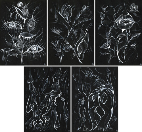Senses Alive - set of 5 arworks by Leah Larisa Bunshaft, 소묘 for Sale on Singulart