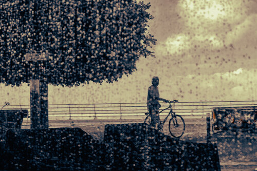 sérénité-6 by Paul Menville, 사진 for Sale on Singulart