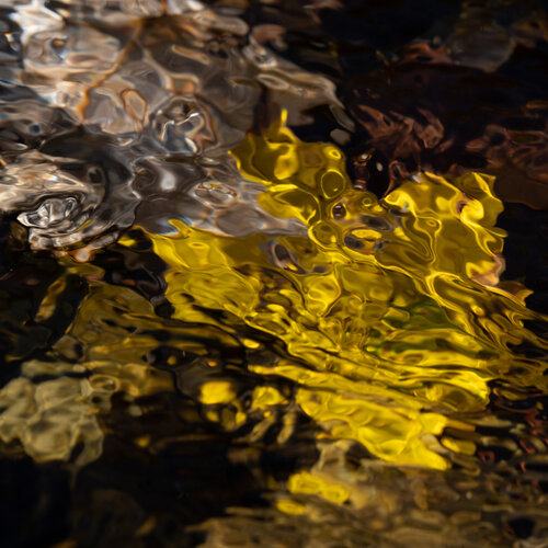 Limpide-2.5 di Paul Menville, Fotografia in vendita su Singulart