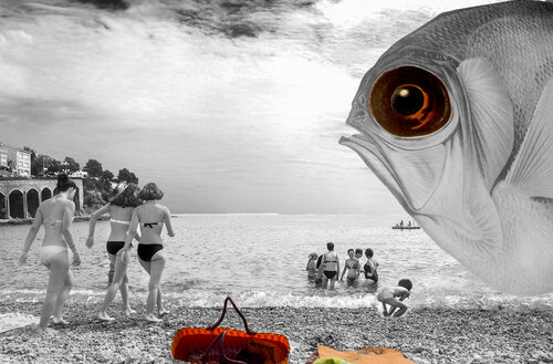 Poisson curieux Paul Menville