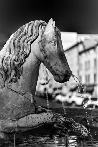 HORSE FOUNTAIN  (6_DSC07356) de Eugenio Tocchet, Fotografía a la venta en Singulart