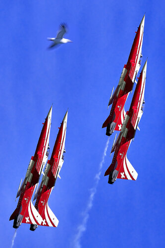 Verticale Infinito - DSC08692 von Eugenio Tocchet, Fotografie kaufen auf Singulart