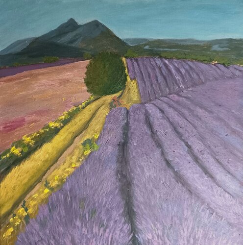 Die Lavendelfelder by Gulschan Rokzad, Painting for Sale on Singulart