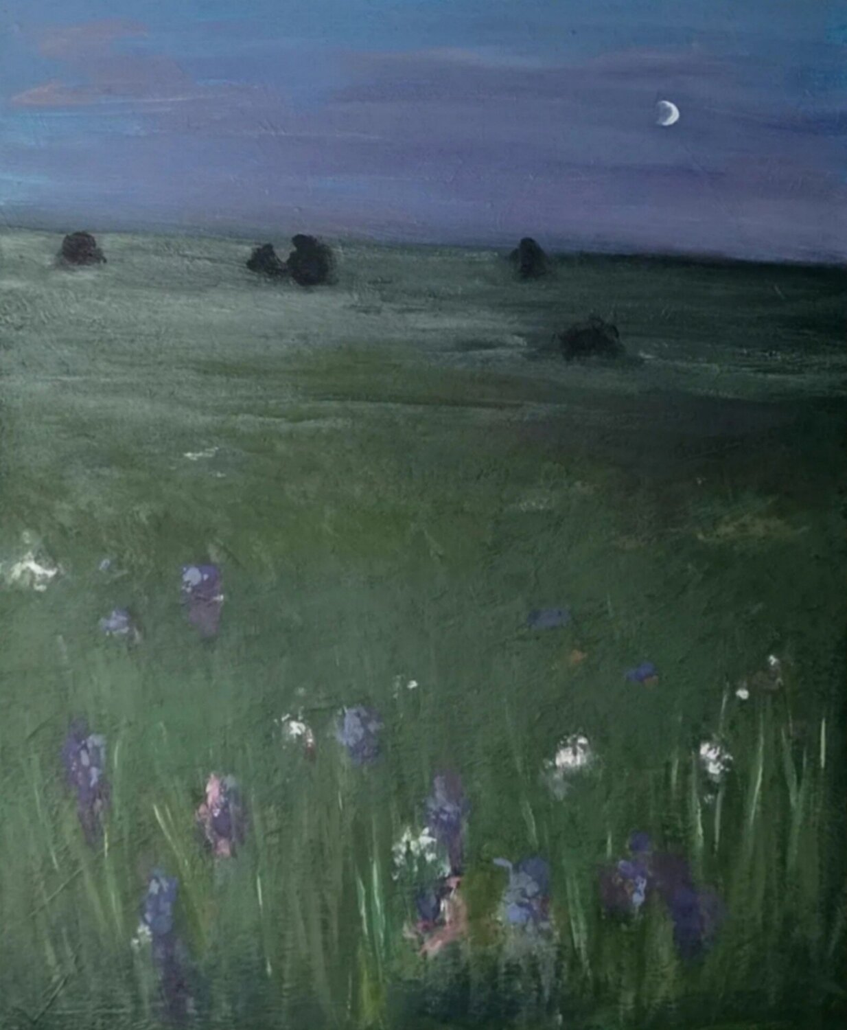 Die Blumenwiese am Abend Gulschan Rokzad
