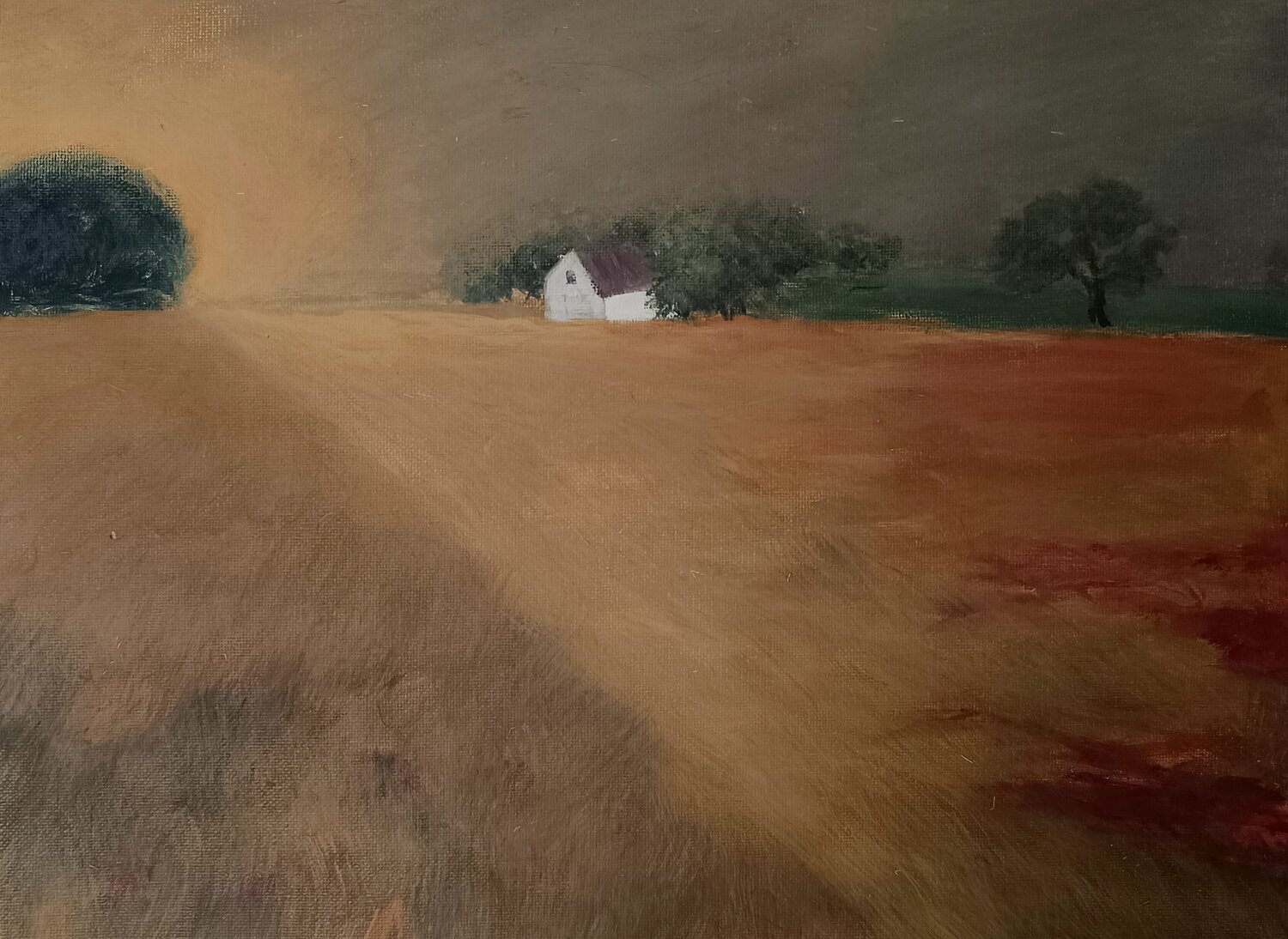 Ein Haus an der Wiese, getragen vom Licht Gulschan Rokzad Origineel schilderij te koop