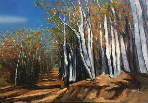 Wald Meizi Wang