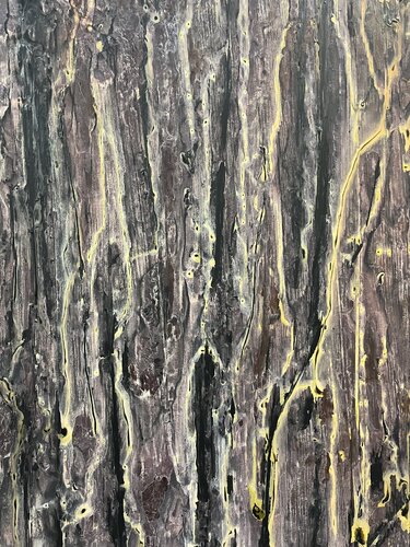 AFRICA von Roberto Buccilli, Malerei kaufen auf Singulart