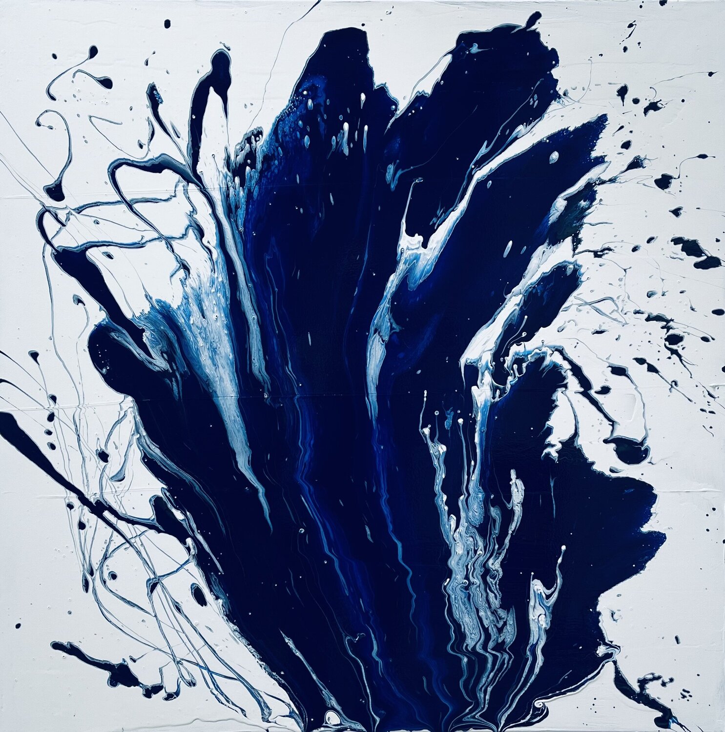 SPLASH Roberto Buccilli
