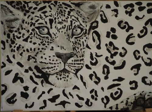 Leopard by Andrea Philipp-Zankl, Painting for Sale on Singulart