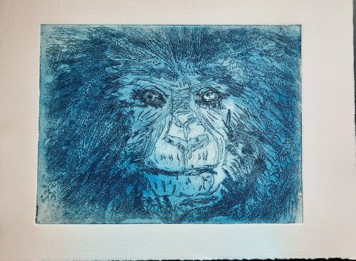 Gorilla/ Ruanda Andrea Philipp-Zankl
