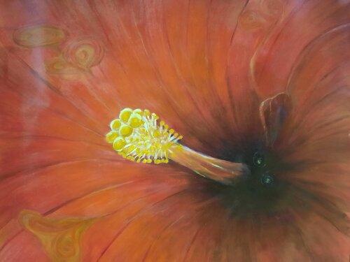 Hibiskusblüte van Andrea Philipp-Zankl, Schilderij te koop op Singulart
