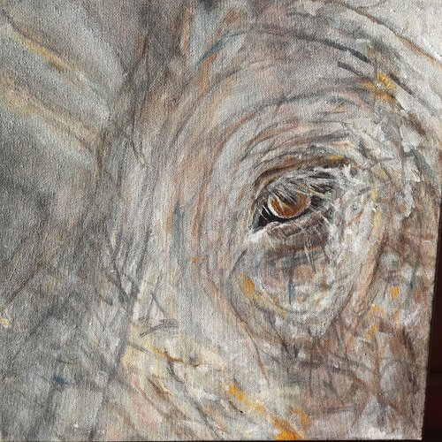 Der Blick eines Elephanten van Andrea Philipp-Zankl, Schilderij te koop op Singulart