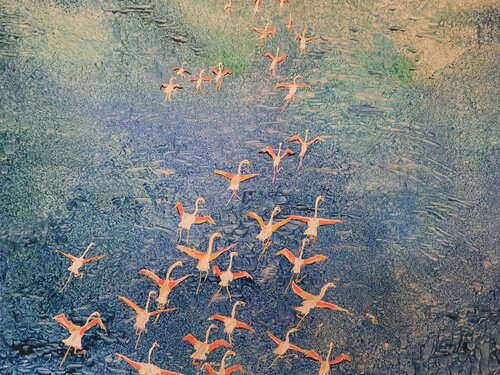 Botswana Flamingos Andrea Philipp-Zankl
