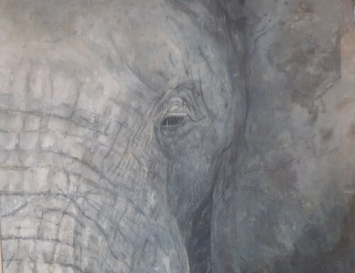 Elephant/Head van Andrea Philipp-Zankl, Schilderij te koop op Singulart