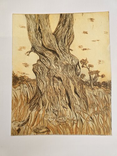 Old tree at sunset von Andrea Philipp-Zankl, Druck kaufen auf Singulart