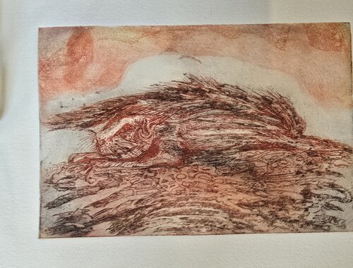 Squirrel in der Abendsonne von Andrea Philipp-Zankl, Druck kaufen auf Singulart