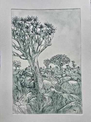 Aloe-dichotoma- tree ( Köcherbaum) by Andrea Philipp-Zankl, 版画 for Sale on Singulart