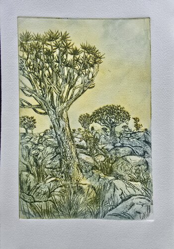 Aloe-dichotoma- tree ( Köcherbaum) morning light de Andrea Philipp-Zankl, Impresión a la venta en Singulart