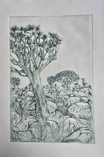 Aloe-dichotoma- tree ( Köcherbaum) par Andrea Philipp-Zankl, Édition en vente sur Singulart