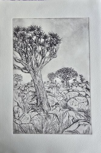 Aloe-dichotoma- tree ( Köcherbaum) by Andrea Philipp-Zankl, 版画 for Sale on Singulart