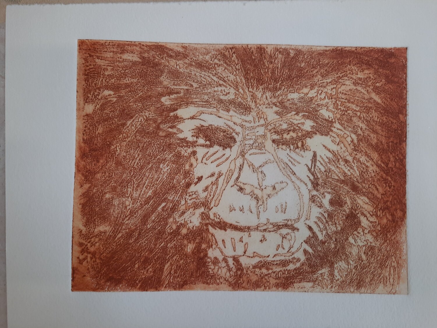 Gorilla/ Ruanda Andrea Philipp-Zankl