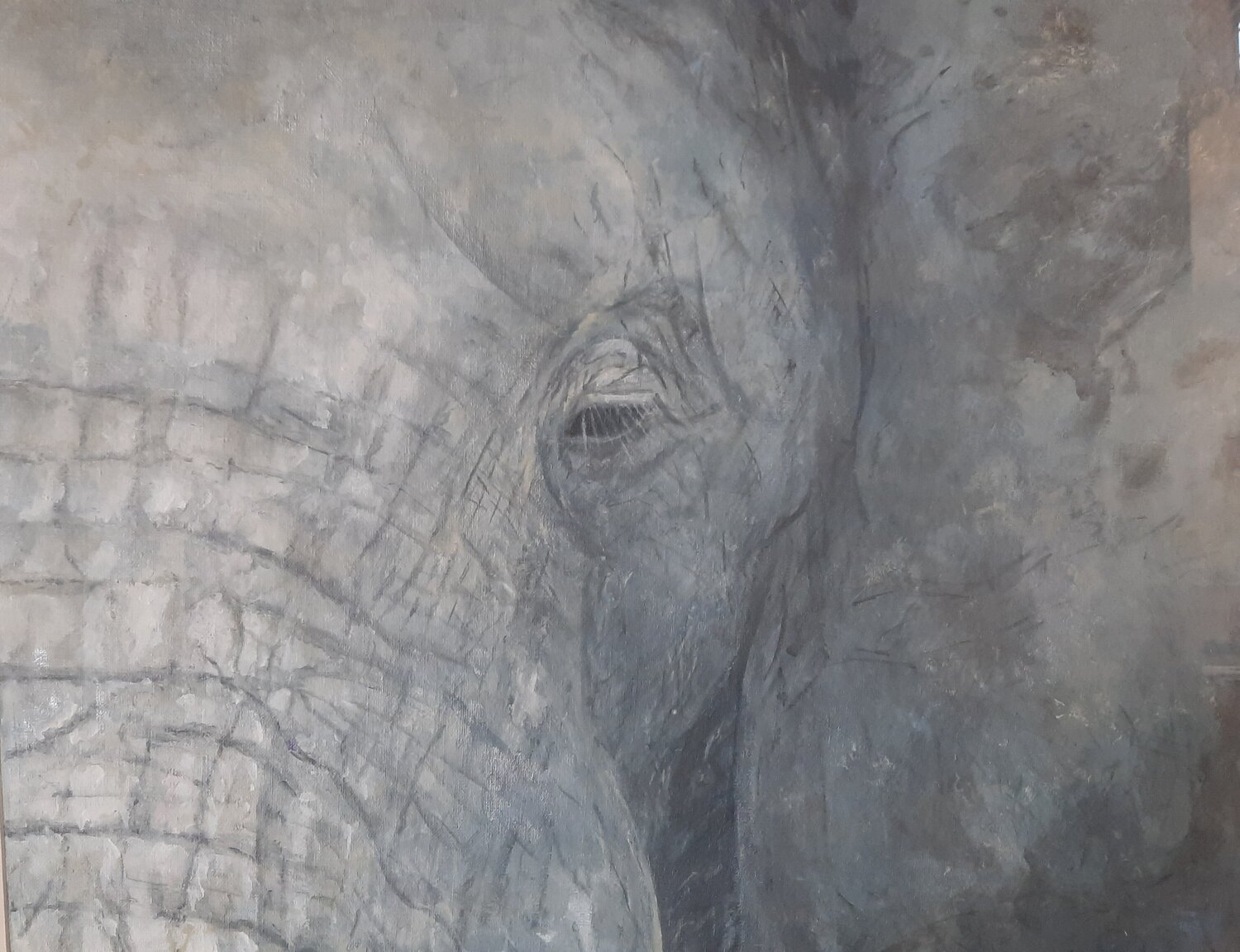 Elephant/Head Andrea Philipp-Zankl