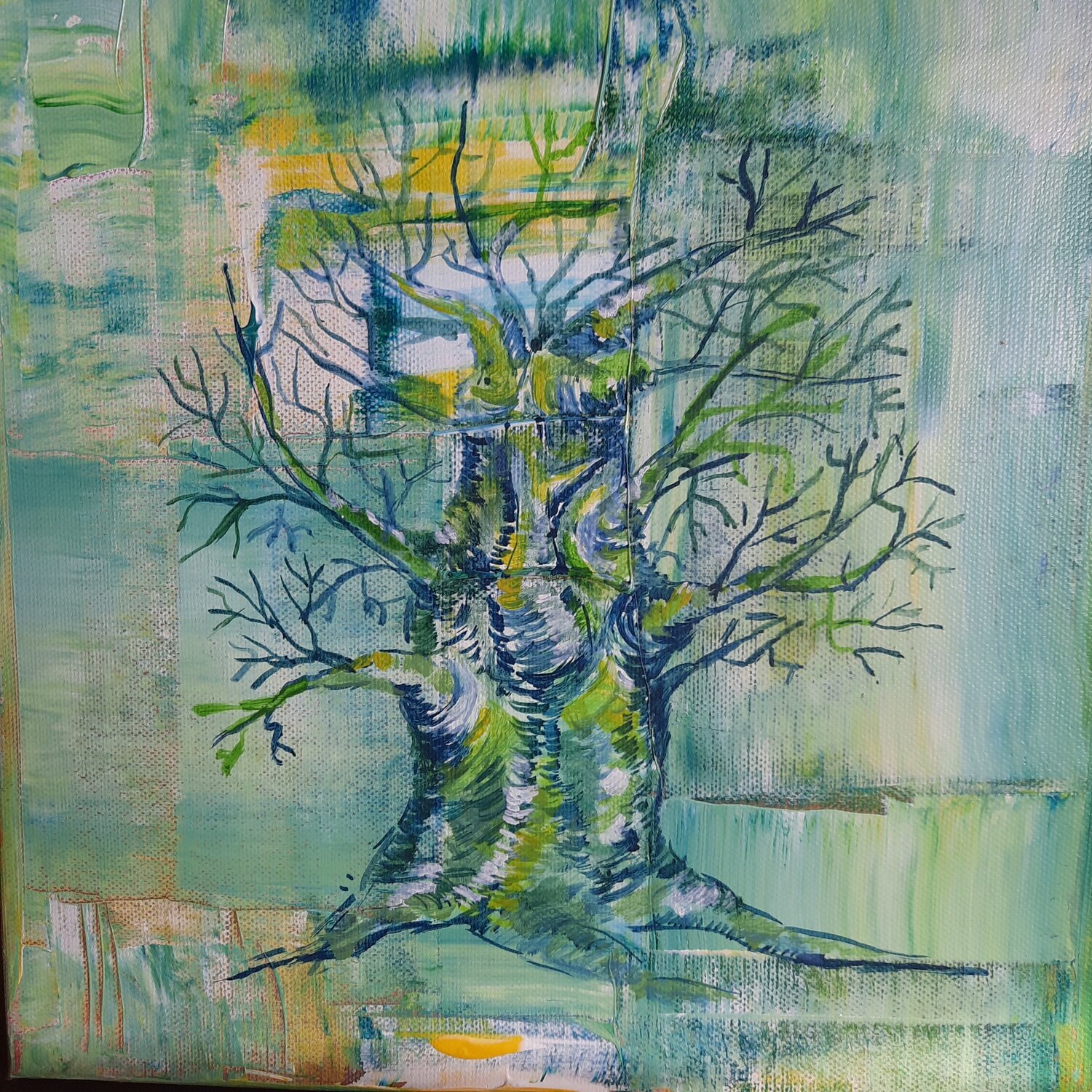 Baobab Andrea Philipp-Zankl