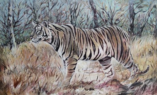 La tigresse dans son environnement Yoan RIMBAULT