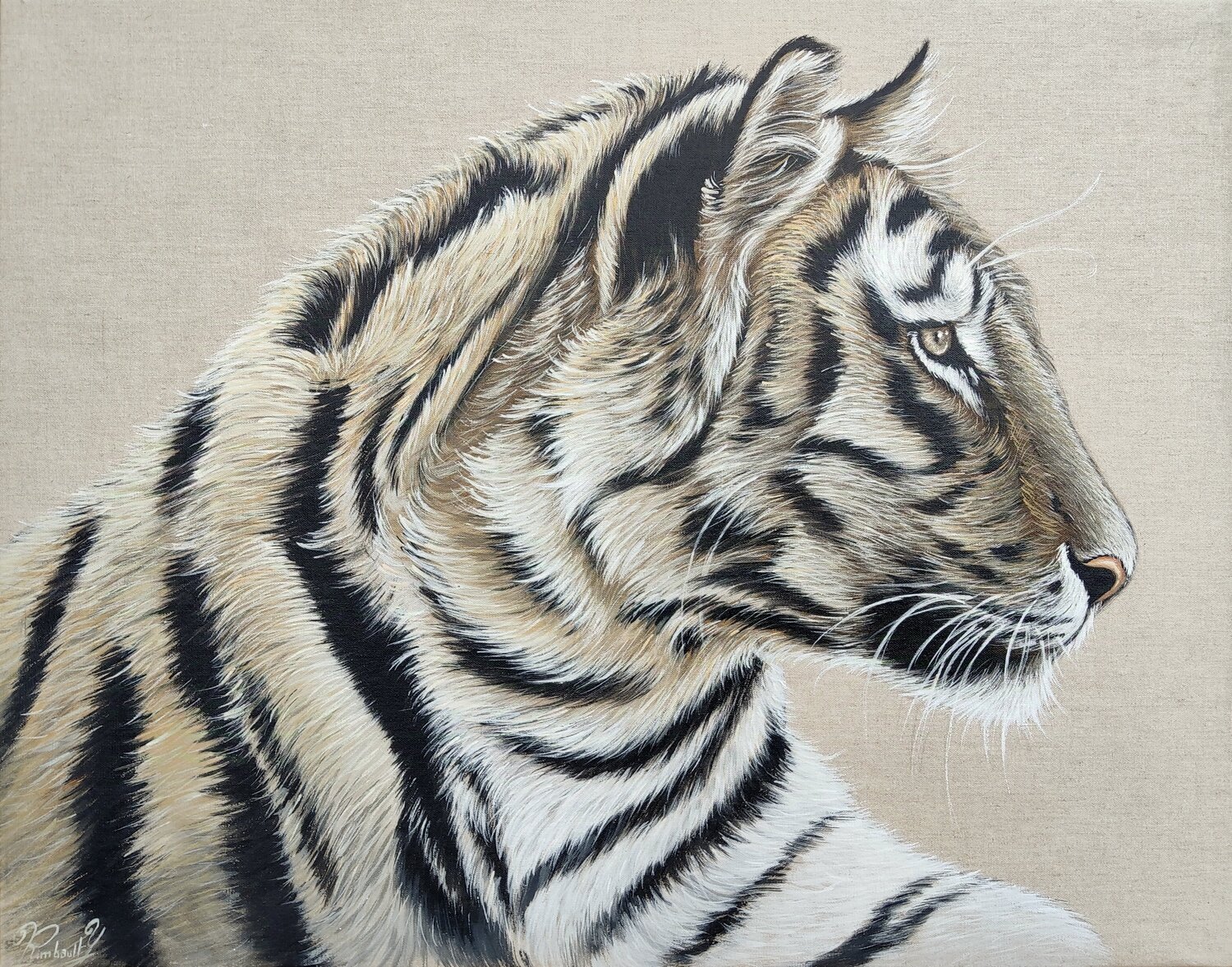 Le tigre face au vent Yoan RIMBAULT