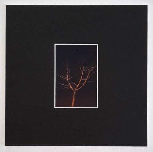 Night von Akil L. Zani, Fotografie kaufen auf Singulart