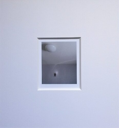 Synchronization - Owl by Akil L. Zani, 사진 for Sale on Singulart