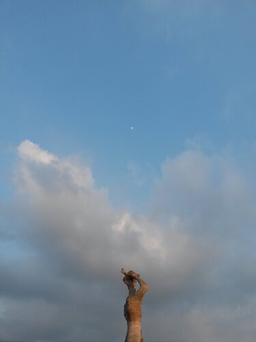 Moon Ceremony with Fish di Akil L. Zani, Fotografia in vendita su Singulart