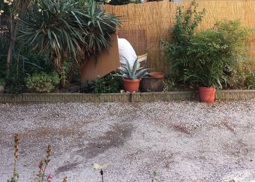 Untitled von Akil L. Zani, Fotografie kaufen auf Singulart