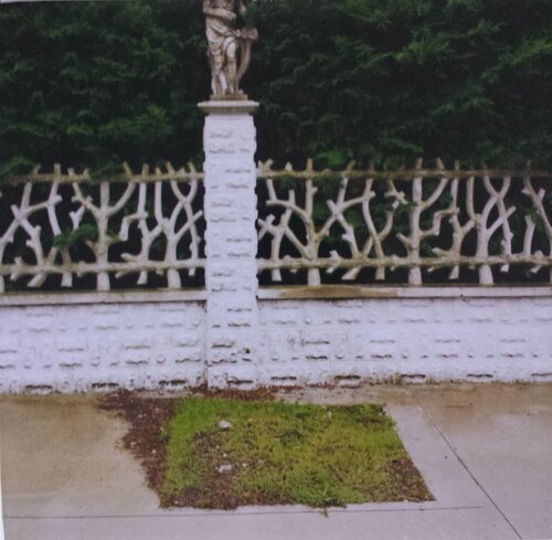 Untitled von Akil L. Zani, Fotografie kaufen auf Singulart