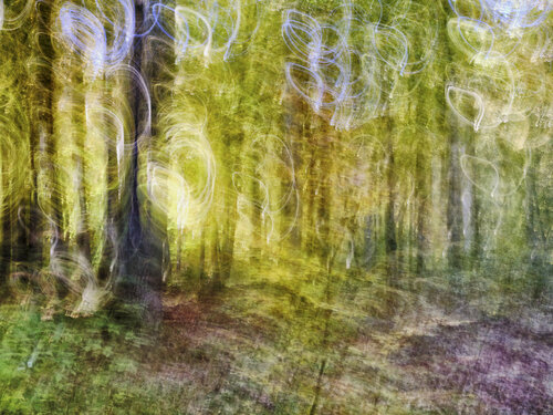 Hope van Romy Pfeifer, Fotografie te koop op Singulart