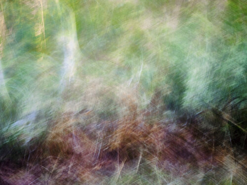 Peace Romy Pfeifer